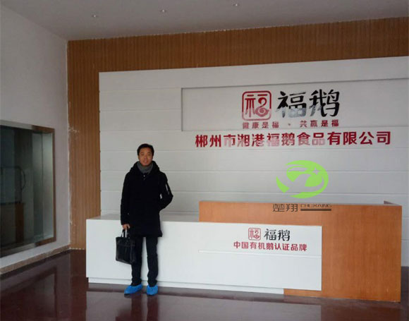 郴州福鵝食品小黄片真人视频車間裝修工程(圖2)