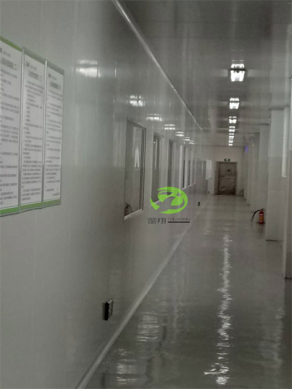 郴州福鵝食品小黄片真人视频車間裝修工程(圖10)